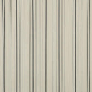 linha-papel-de-parede-apollo-tropicalia-53cm