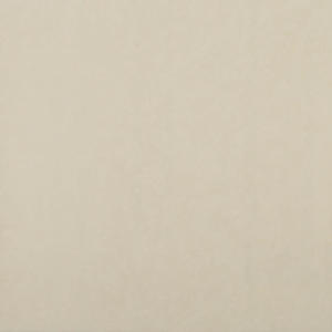 linha-papel-de-parede-apollo-tropicalia-53cm