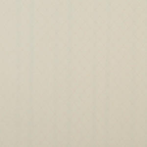 linha-papel-de-parede-apollo-tropicalia-53cm