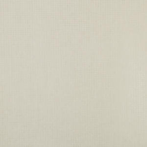 linha-papel-de-parede-apollo-tropicalia-53cm