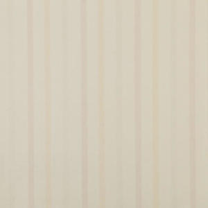 linha-papel-de-parede-apollo-tropicalia-53cm