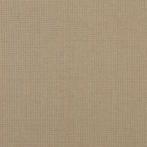 linha-papel-de-parede-apollo-tropicalia-53cm