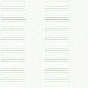 linha-papel-de-parede-queens-tropicalia-53cm