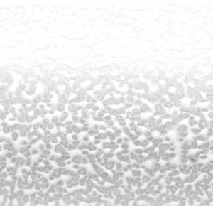 linha-persiana-horizontal-aluminio-persol-25mm